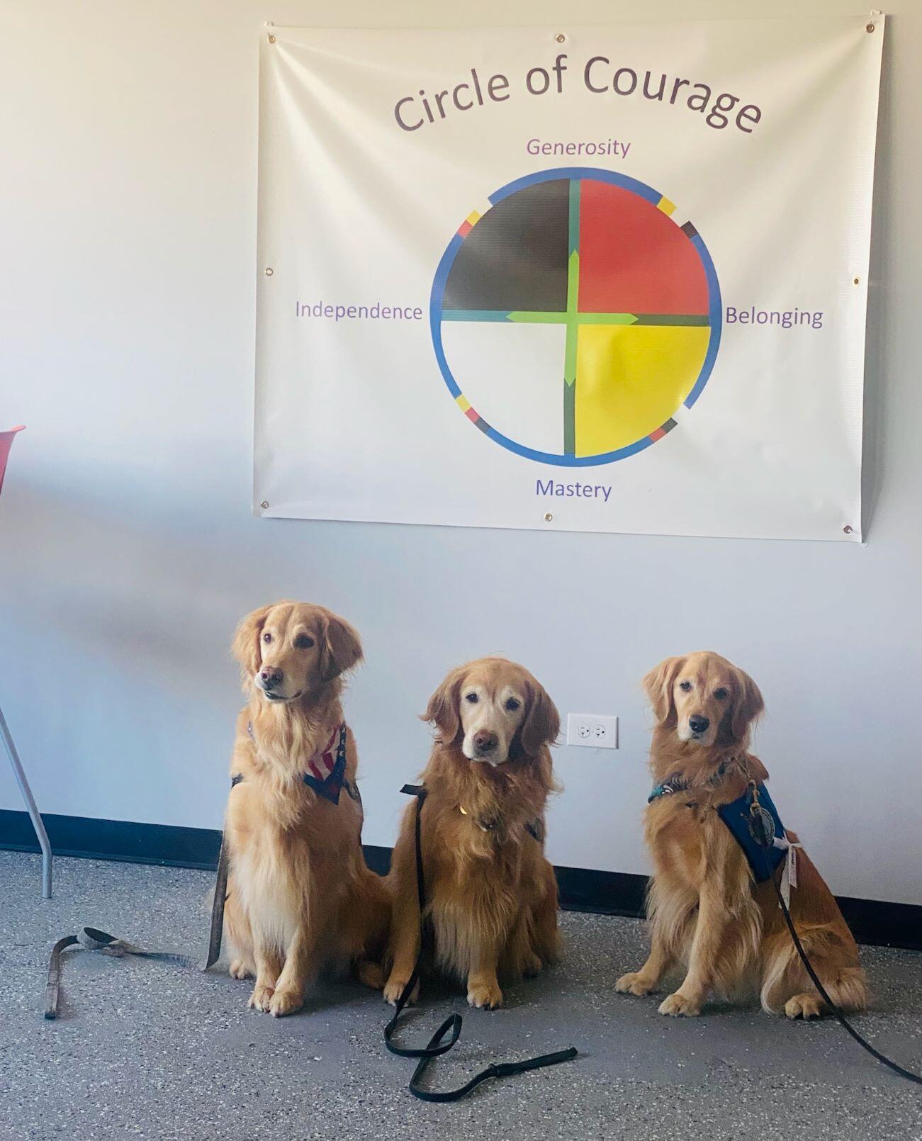 Therapeutic Dogs Visit Phoenix Academy